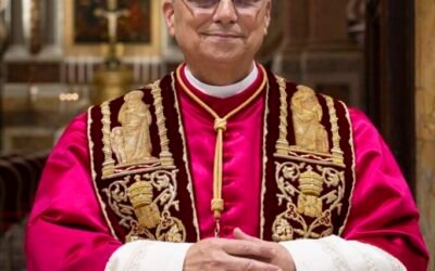 Pope Leo XIV Releases Prayer Intention for September Focusing on Relationship with All Creation